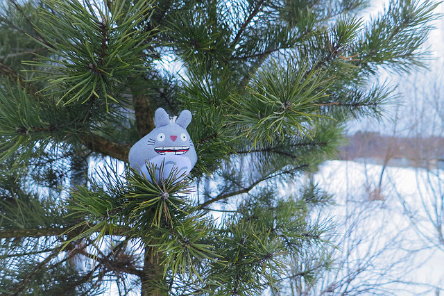 Day #63: totoro looks out for spring