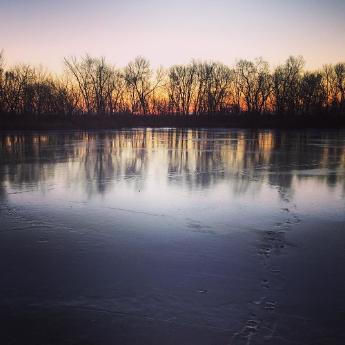 morning trees lake water sunrise square frozen pond farm country footprints squareformat cote countrylife iphone farmlife countryliving iphoneography instagramapp uploaded:by=instagram
