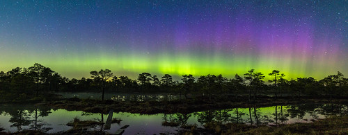 Northern lights, Estonia