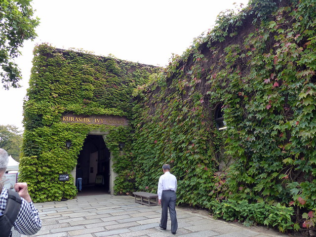 Ivy Square is full of ivy