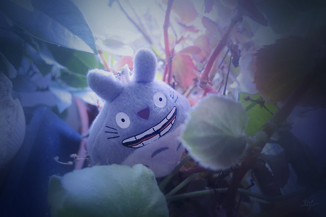 Day #78: totoro threw out the TV