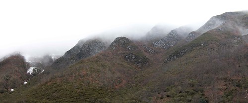 bear panorama paisajes naturaleza mist mountains nature fog oso landscapes asturias niebla montañas fuentesdelnarcea riomolín cordilleracantábricaoccidental