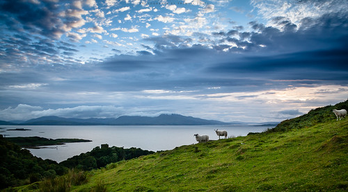 uk blue sea sky seascape colour green nature water beautiful grass animals rural canon skyscape landscape island eos 350d evening coast scotland countryside sheep argyll country hill shoreline wideangle coastal shore western land oban coastline battleship dslr mull isle isles breathtaking waterscape