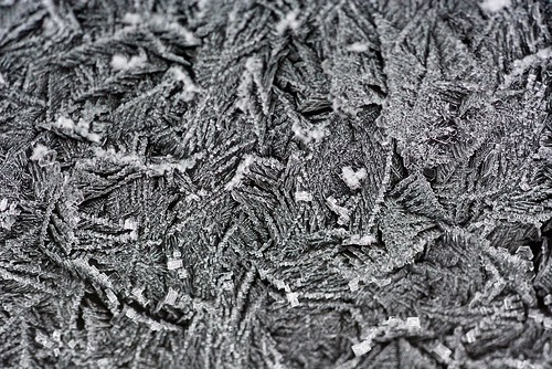 winter macro texture ice nature monochrome weather frost pattern icecrystal organicpattern