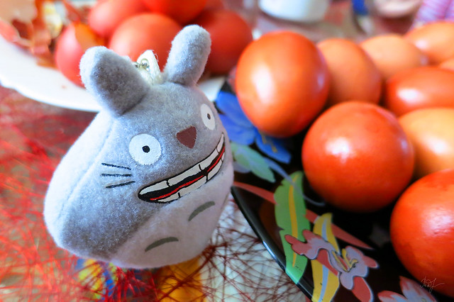 Day #121: totoro tries to unravel the mystery of primitive human rituals