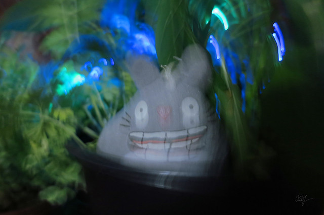 Day #117: totoro has fun at the party of fairies