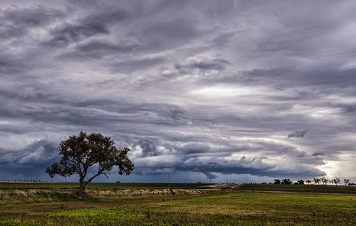 tree clouds nikon australia queensland d750 storms warwick lonetree allora summerstorm southeastqueensland darlingdowns