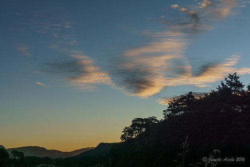 trees sunset newzealand sky silhouette clouds nz southisland tasman tramping tramp 2016 kahuranginationalpark tasmannz 1000acreplateau 100acreplateau sonya6000 janetteasche matiriplateau