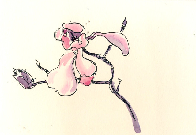 Sketchbook #94: Magnolias