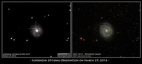 sky night canon stars observation spiral march timelapse space science galaxy astrophotography astronomy nightsky supernova astronomer 400mm 2016 ngc3631 spiralgalaxy canon6d ioptron tomwildoner leisurelyscientist leisurelyscientistcom sn2016bau