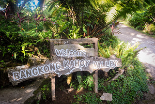 Bangkong Kahoy Valley