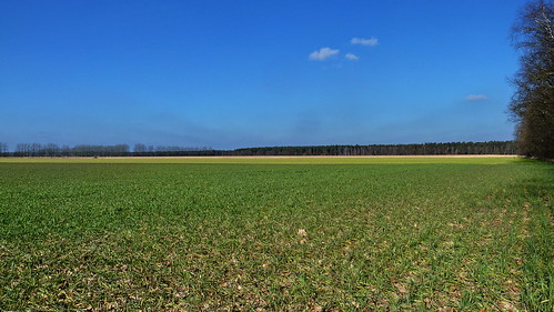 clouds germany landscape deutschland scenery landwirtschaft feld wolken paisaje alemania nuage paysage landschaft allemagne brandenburg nube radwegleipzigberlin wittenbergnachjüterbog