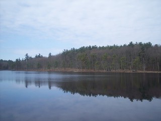 Maple Spring Pond