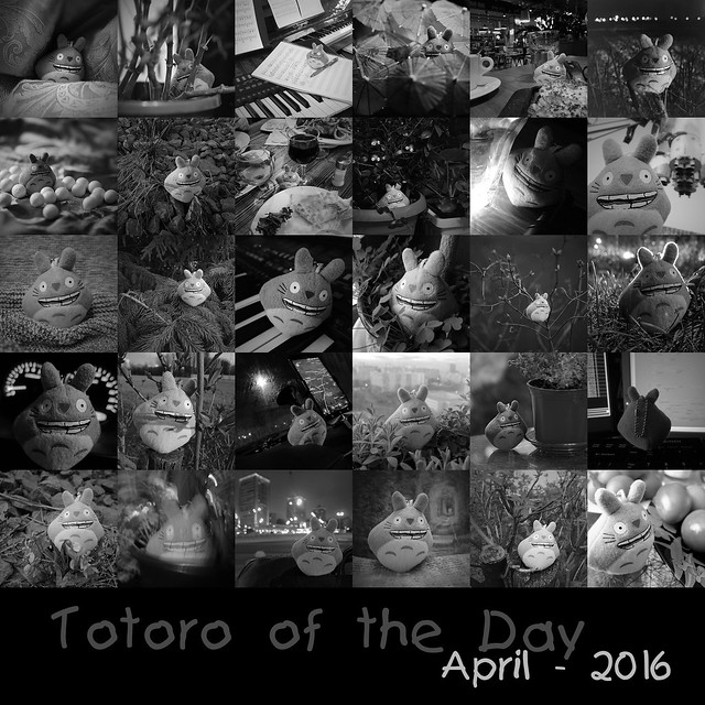 Totoro of the Day - 2016 - April