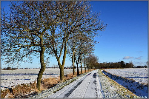road schnee winter snow landscape deutschland landschaft bäume landschap wege winterlandschaft norddeutschland niedersachsen stjoost strase landstrase landkreisfriesland stjoostergroden