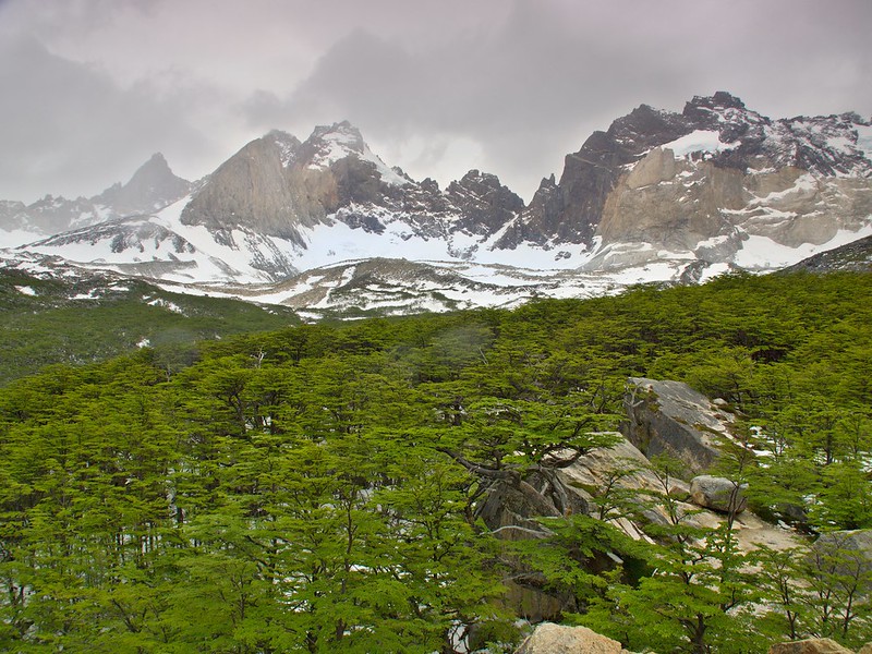 Torres del Paine: Valle del Francés (pata central W) - Por el sur del mundo. CHILE (23)