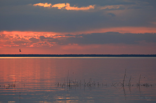Lake Pleshcheyevo. Sunset 01