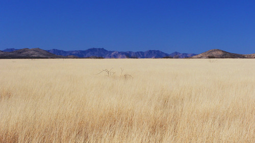 blue arizona sky mountains grass landscape warm desert flat tombstone ruleofthirds canon60d