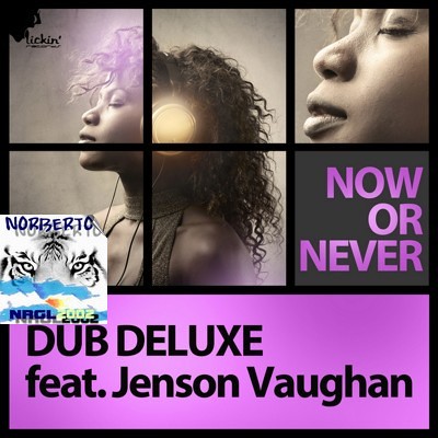 dub_deluxe_feat._jenson_vaughan-now_or_never