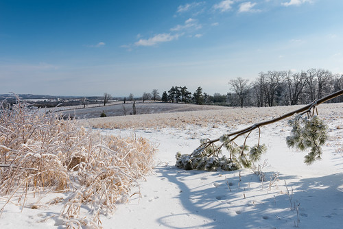 ca winter snow ontario canada storm tree ice field hiking side country bethany hills trail fallen kawarthalakes