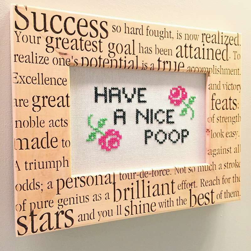 Have a Nice Poop Cross-Stitch