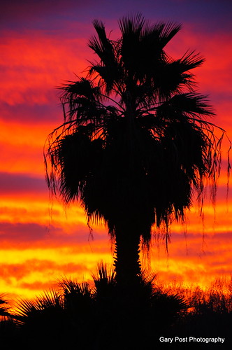 california sunrise