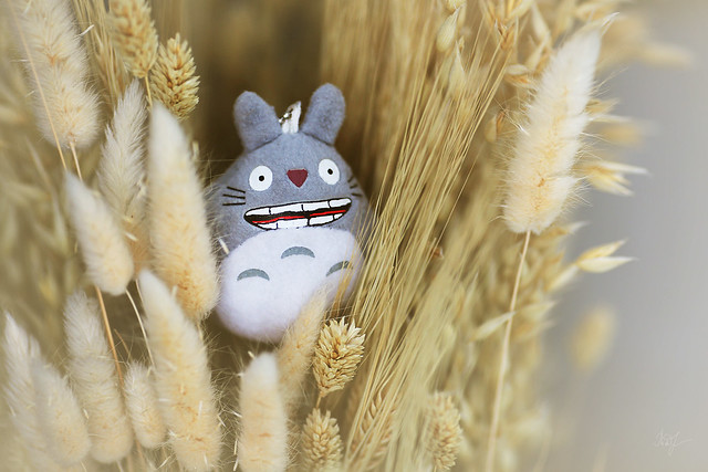 Day #58: totoro something catches in the Rye