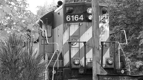 844steamtrain potb 6164 emd sd9 timber oregon pacific northwest diesel train locomotive engine woods forest nature outdoors black white photo photography transportation travel adventure tourism events western trees vegetation metal machine abandoned flickr flickrelite hdr science technology history canon powershot sx40 hs digital video camera cliche saturday autumn season equipment america burlington northern railway railroad rusty scrapped tiger stripes paint pattern most popular google youtube redbubble favorite favorited views viewed