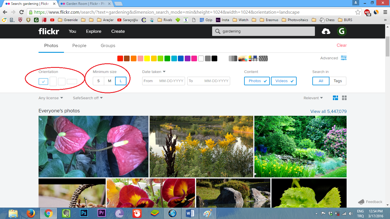 How To Optimize Images For Your Website