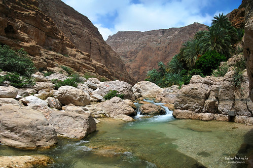 travel water rock asia hiking palm oman roccia acqua wadi palme viaggio escursionismo wadishab