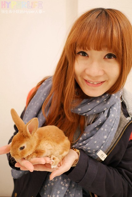 超療癒的兔子&#038;刺蝟完全一次滿足~東京六本木除了看夜景，現在最夯的就是到Ms. Bunny (ミスバニー)cafe現場玩豪可愛兔兔+刺蝟啦！（內附Hedgehog cafe地圖路線&#038;詳細資料） @強生與小吠的Hyper人蔘~