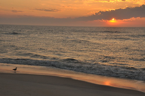 ocean beach dawn assateague d90