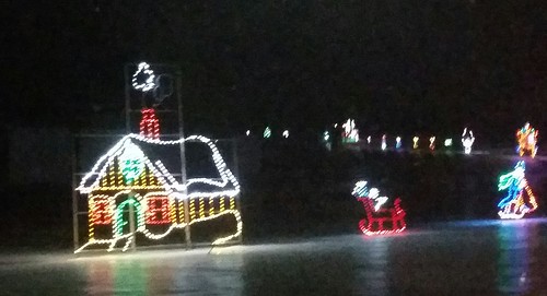 Christmas Lights at NHMS by Lapdog Creations