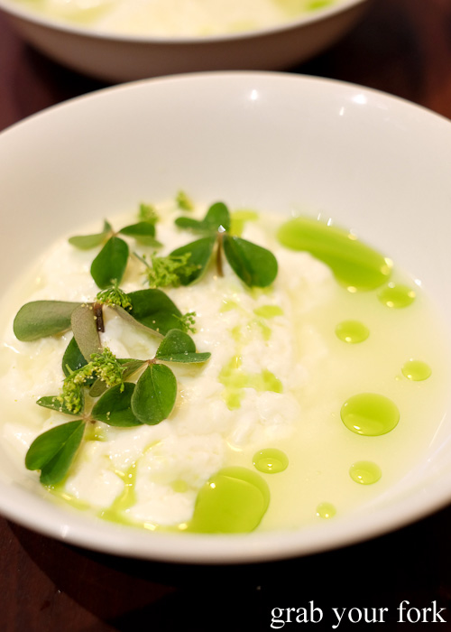 Homemade milk curd with oxalis and tarragon oil