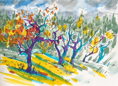 Sketchbook #94: Persimmon Orchard