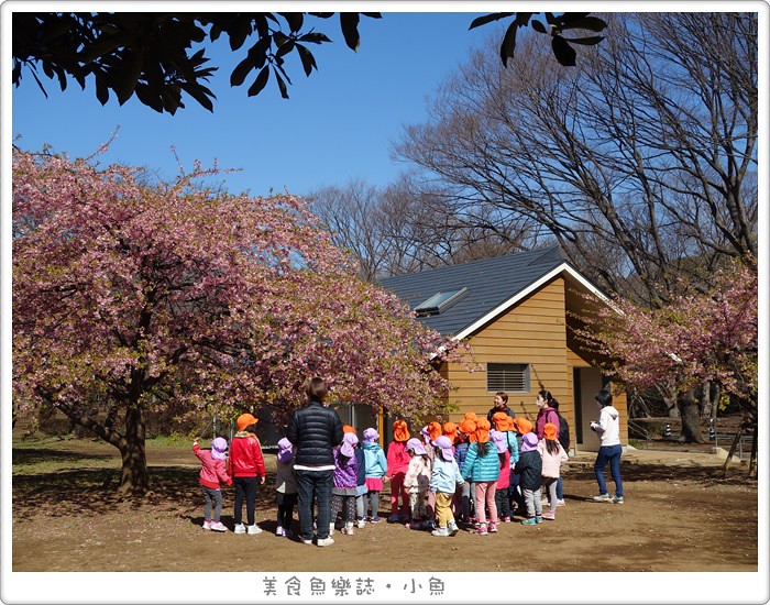 【日本東京】代代木公園/賞櫻散步遛小孩 @魚樂分享誌