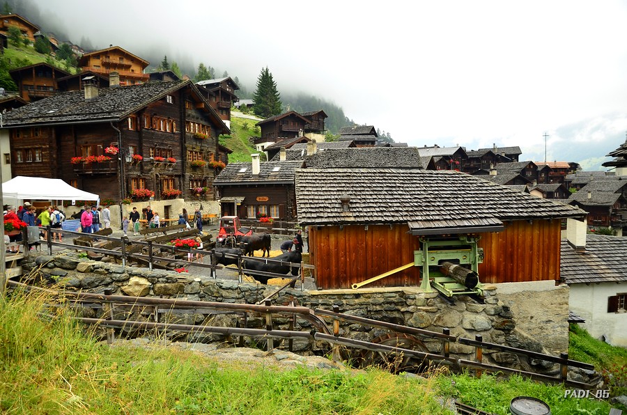 SUIZA, DISFRUTANDO DEL PAISAJE PERFECTO - Blogs de Suiza - Ruta 2,5h refugio Moiry – Grimentz – Valle de Anniviers. (13)