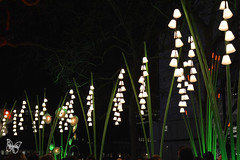 Lumiere London - Gardent of Lights / Tilt