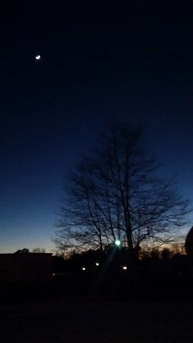 trees moon tree silhouette night dark evening nc dusk northcarolina fairmont latesunset robesoncounty