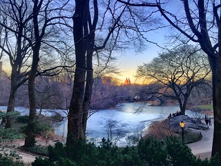 Golden Hour in Central Park.
