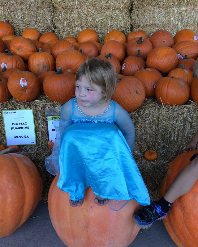 Pumpkins in Longview and Parade21