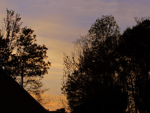 trees sunset sky color silhouette night evening nc spring dusk northcarolina springtime settingsun lumberton endofday robesoncounty ncspring ncspringtime walnutmanorapartments