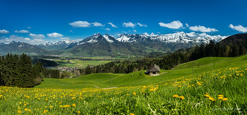 panorama schweiz switzerland suisse assemblage sony fribourg alpha 77 printemps gruyère 1650 préalpes lachia fribourgoises lopiâno