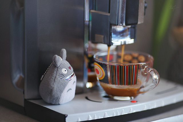 Day #48: totoro is foretasting the cup of coffee