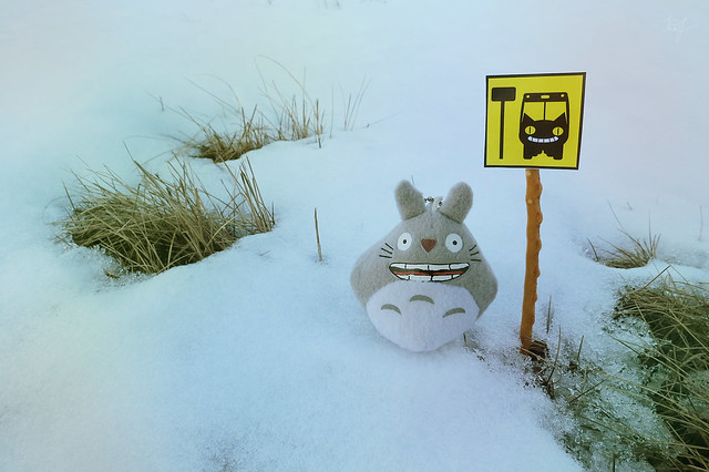 Day #57: totoro goes to old friends