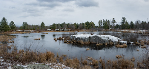 light panorama plants snow ontario canada nature water grass clouds rural forest reflections reeds dark outdoors nikon moody gloomy ottawa swamp tres d7100 bensenior nikond7100