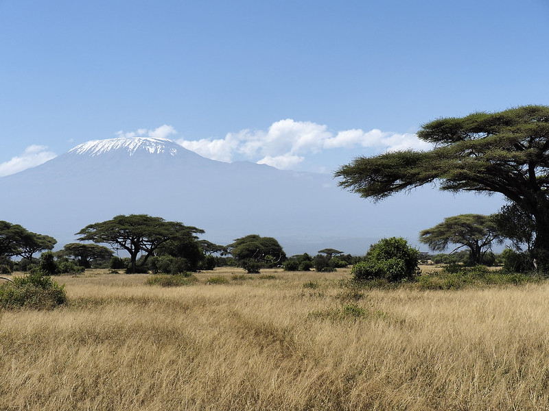 Le Kilimandjaro en toile de fond 25642637341_89b5190788_c