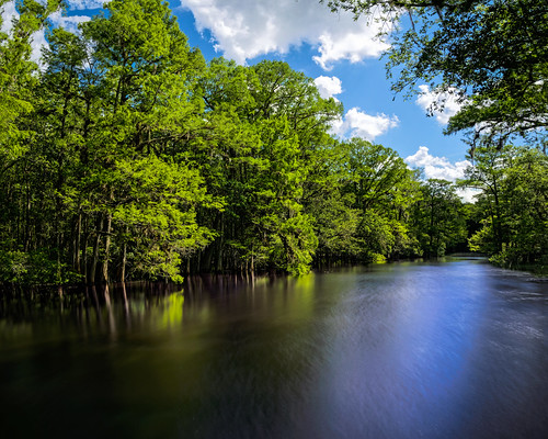 cypress spring manateespringsstatepark calm water ©edrosack panorama florida neutraldensityfilter reflection tree river cloud flowersplants landscape sky centralflorida longexposure usa suwanneeriver cloudy ndfilter chiefland edrosackcom