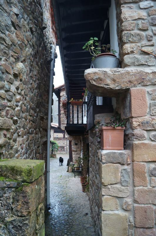 Semana Santa a la cántabra - Blogs de España - 22/03- Valles del Saja y Nansa: De la Cantabria profunda (66)