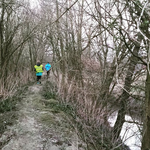 This week, we went running with Liv and we discovered a new part of our small village. Quite adventurous trail ... our nature girl was fortunate #elewijt #vredesbos #runhappy #instarunner #nevernotrunning #run #instarunners #iloverunning